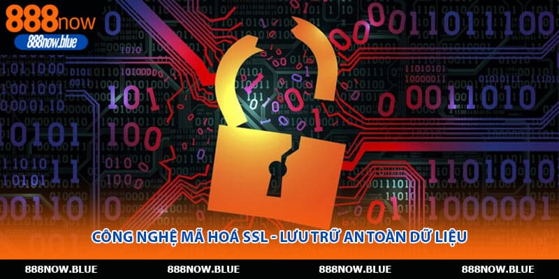 Công nghệ mã hoá SSL - Lưu trữ an toàn dữ liệu