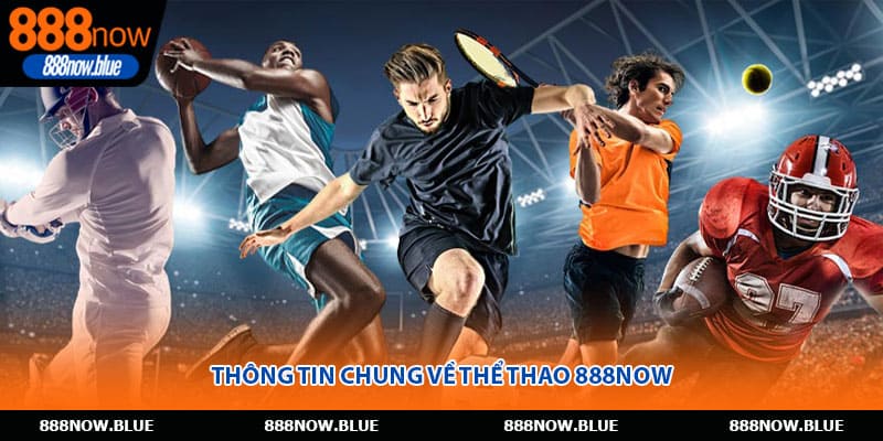 Thông tin chung về thể thao 888Now